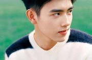 娱乐吃瓜君陈飞宇罗云熙,娱乐圈的“吃瓜”风云人物